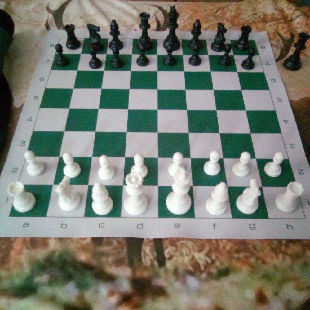 United States Chess Federation Triple Weighted Official Tournament Chess Set